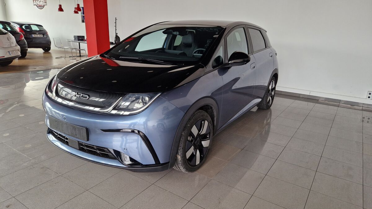 Byd dolphin desing a matricular .1000kilometros