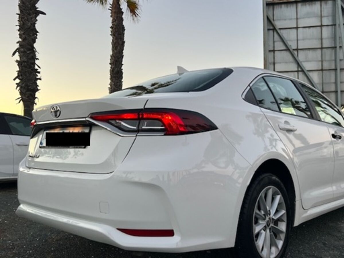 Torrevieja (alicante)