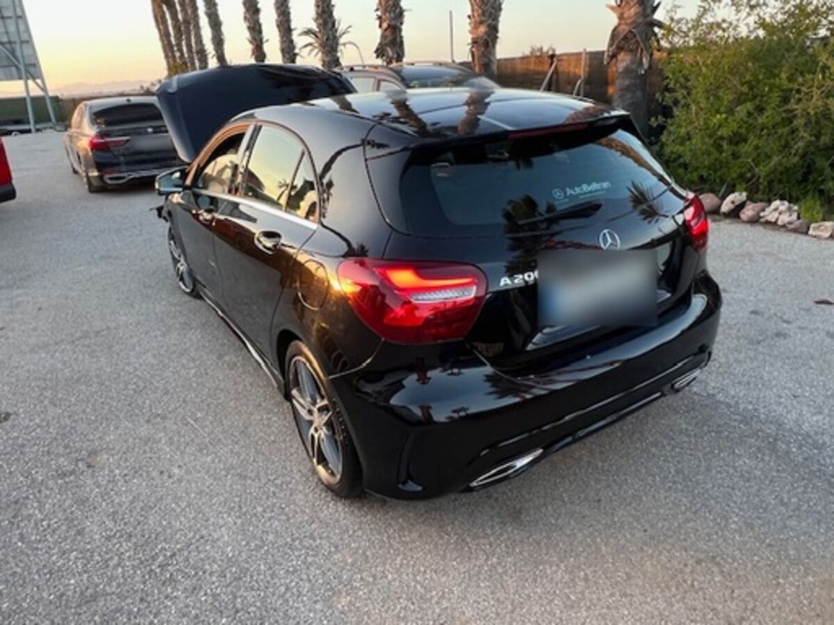 Torrevieja (alicante)