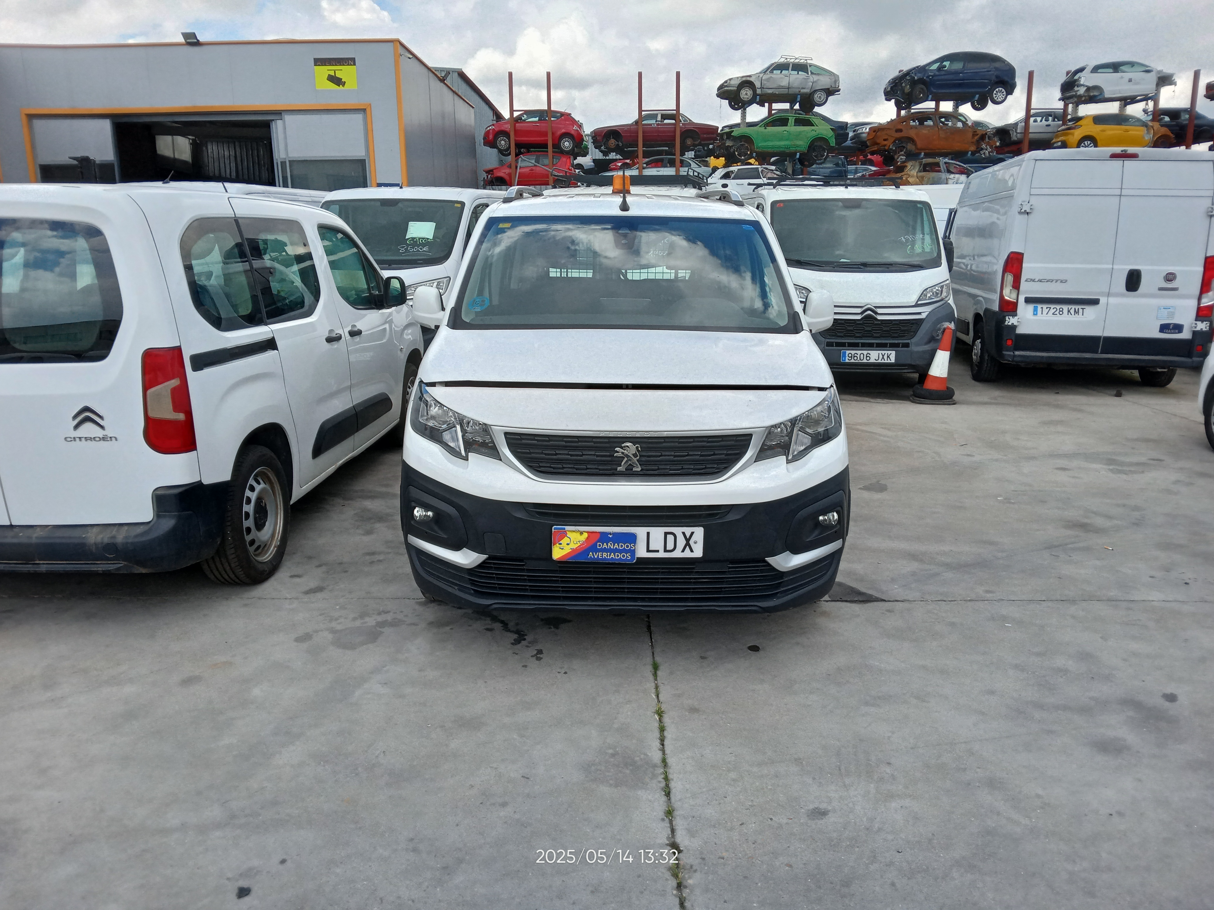 Active Standard BlueHDi 100CV